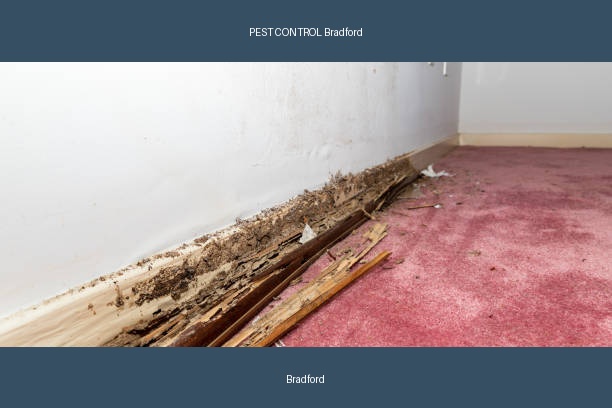 PEST CONTROL Bradford